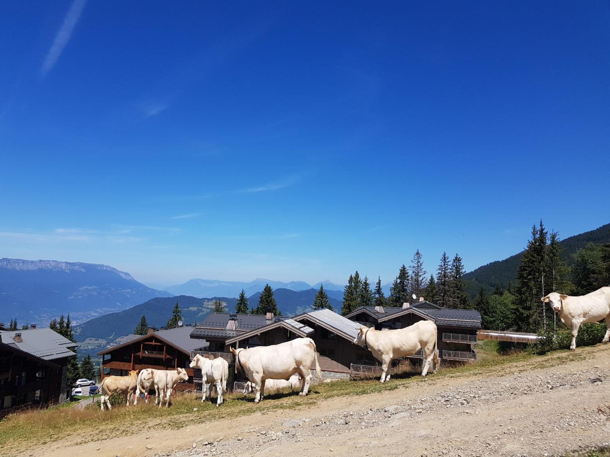 Les 7 Laux Immobilier Chalet E Прапутель Экстерьер фото